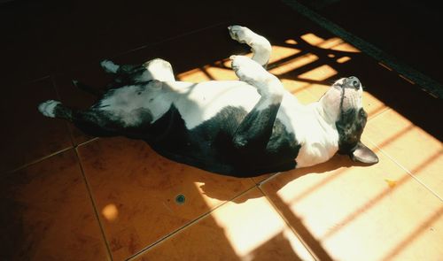 High angle view of tiled floor