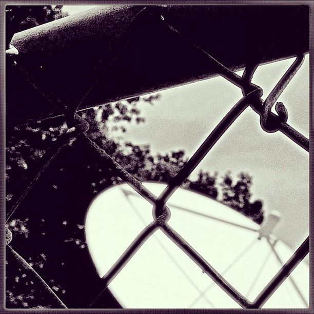 metal, close-up, focus on foreground, chainlink fence, protection, transfer print, safety, fence, auto post production filter, low angle view, metallic, pattern, spider web, no people, day, outdoors, nature, drop, selective focus, silhouette