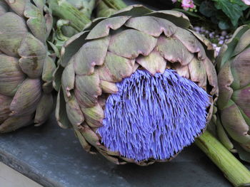 Close-up of artichokes for sale at market stall