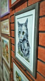 Portrait of a cat looking through window