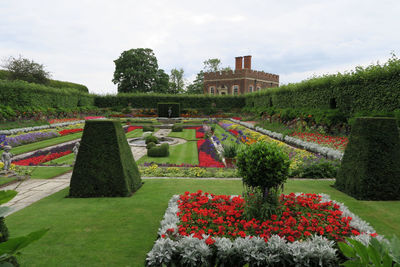 Plants growing in garden