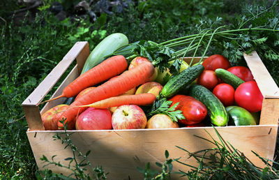 High angle view of vegetables on table