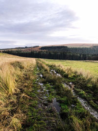 Scenic view of land against sky