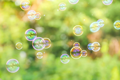 Close-up of bubbles