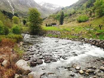 Scenic view of river in forest against sky