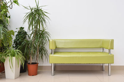 Potted plant on table against wall at home