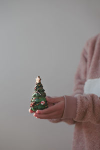 Midsection of man holding christmas tree