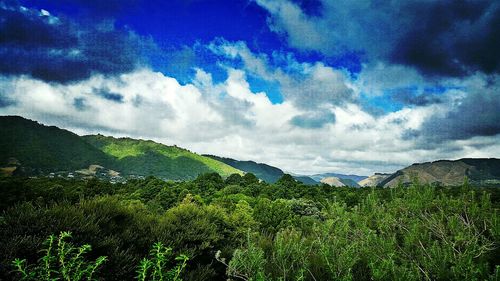 Scenic view of landscape against cloudy sky