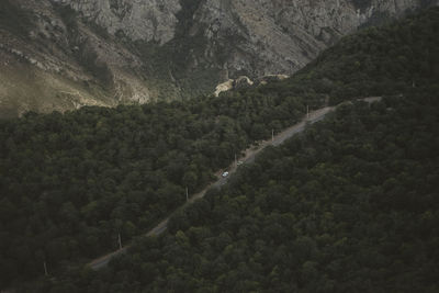 Scenic view of landscape