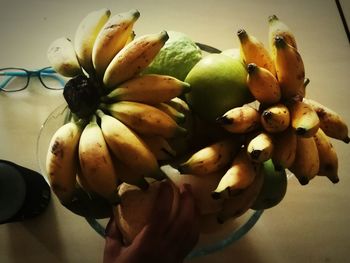 Close-up of hand holding fruit