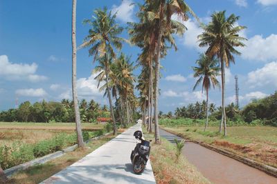 Photos of rice fields, cement roads, motorbikes, coconut trees, rivers, and blue skies