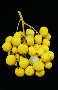 Close-up of fruits against black background