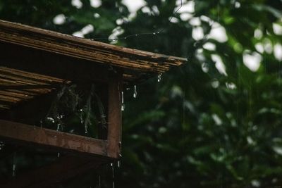 Low angle view of raindrops on roof