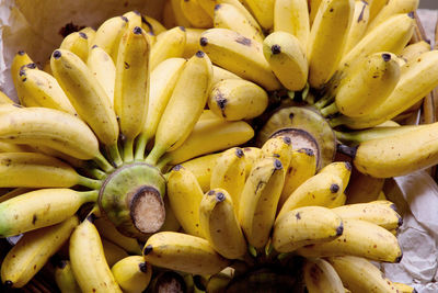 Close-up of banana bunches