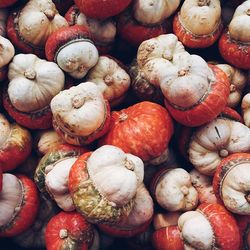 Full frame shot of food