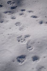 High angle view of footprints on snow covered land