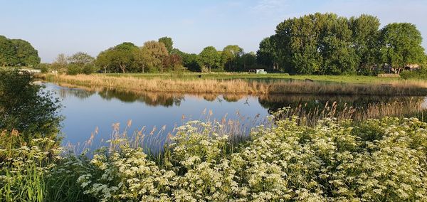 Scenic view of a dutch canal against sky