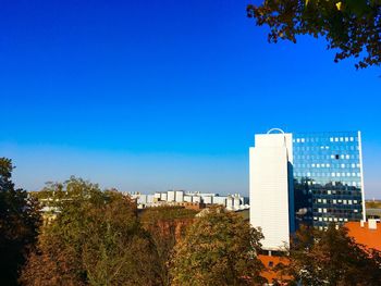 Trees and buildings against blue sky