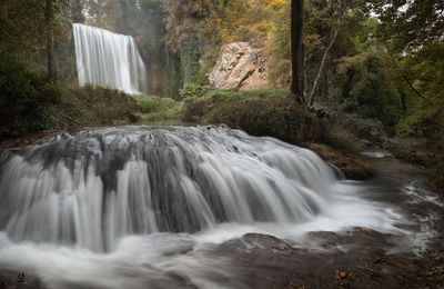 Scenic view of waterfall in forest