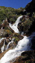 Scenic view of waterfall in forest