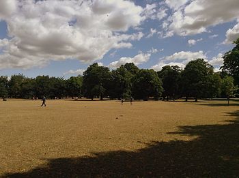 View of trees against cloudy sky