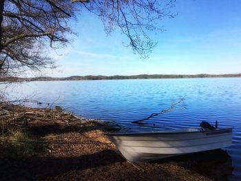 Calm lake with trees in background