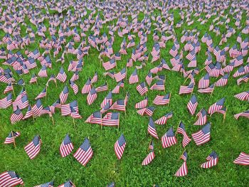 High angle view of flags on field