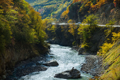 Scenic view of waterfall in forest