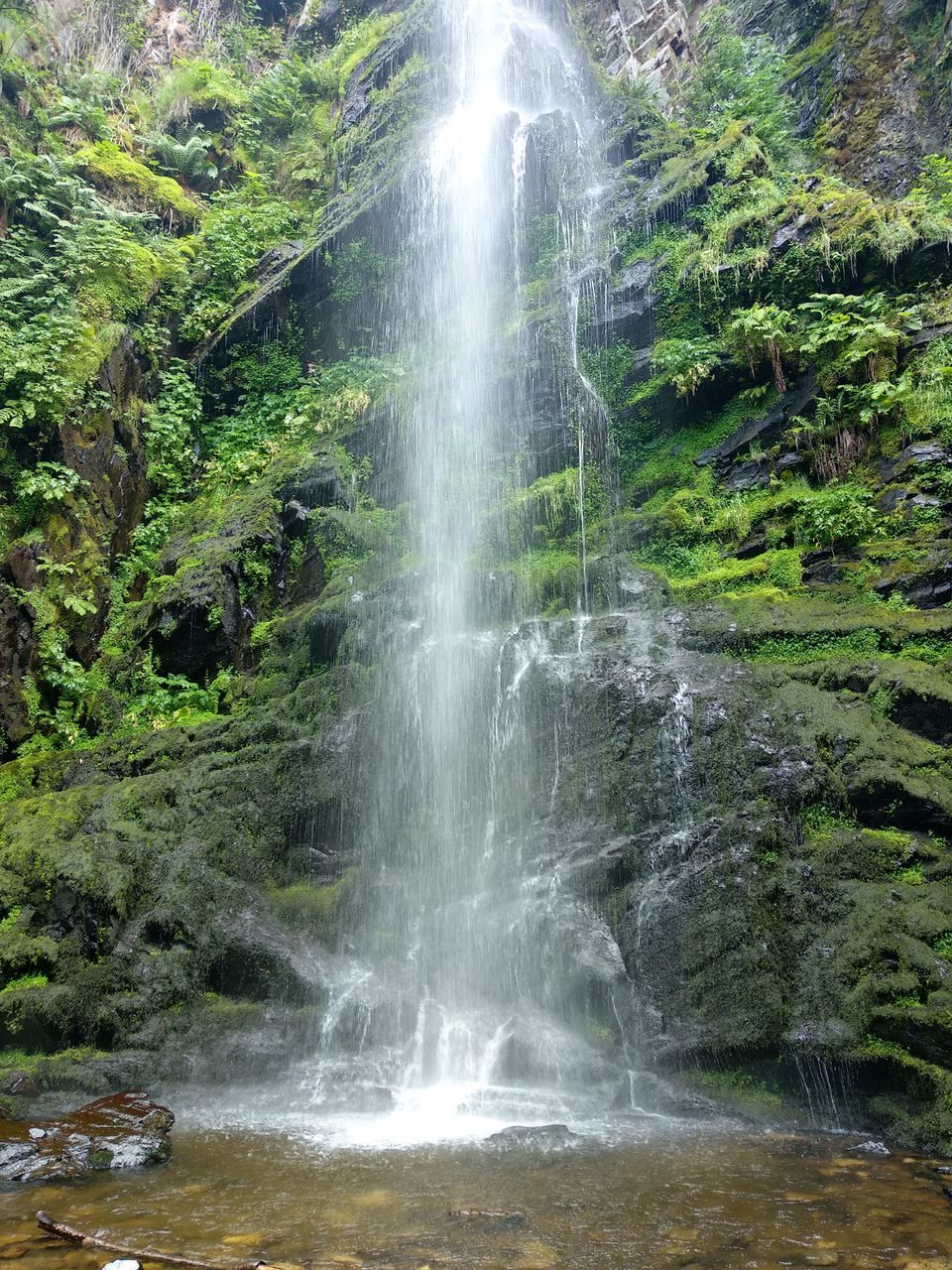 SCENIC VIEW OF WATERFALL