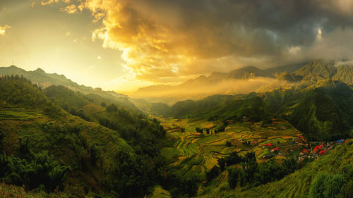 Scenic view of agricultural field against sky during sunset