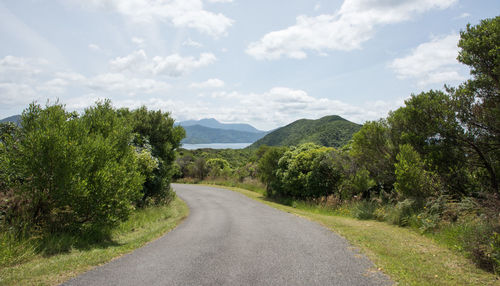 Road by trees against sky