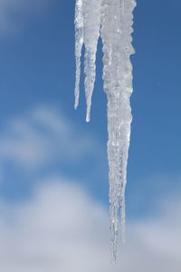 Close-up of icicles against sky