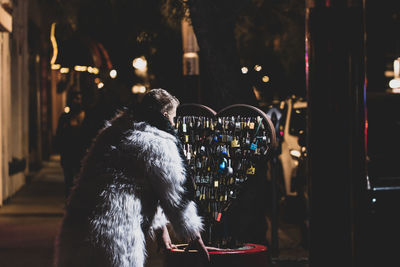 Rear view of a dog looking at illuminated city