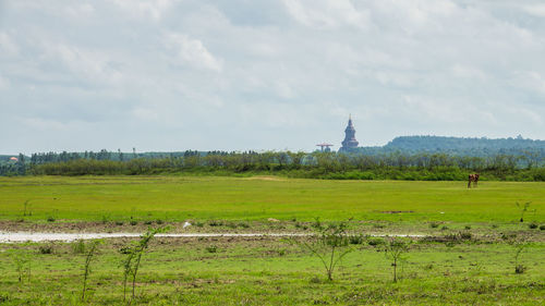 Scenic view of field against sky