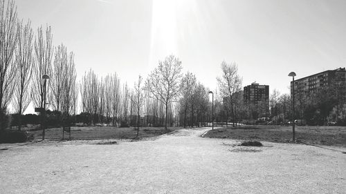 Panoramic view of water and trees against sky