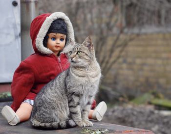 Full length of cat looking away while sitting outdoors