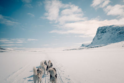 Panoramic view of people on snow covered land against sky