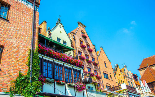 Low angle view of building against blue sky