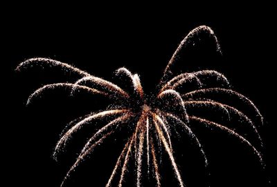 Low angle view of firework display against sky at night