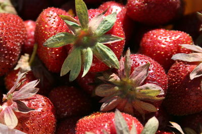 Full frame shot of strawberries