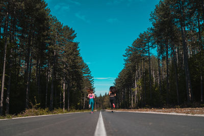 People walking on road amidst trees against blue sky