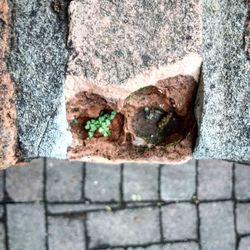 Close-up of stone wall