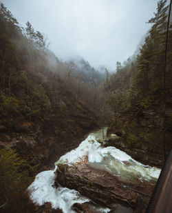 Scenic view of waterfall in forest