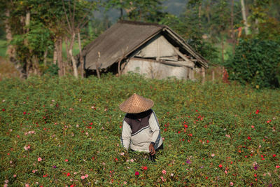 Rear view of boy on field