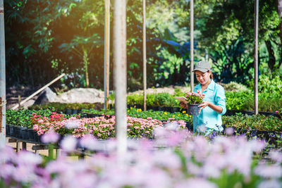 Man working on flowering plants