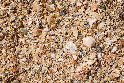 Full frame shot of stones