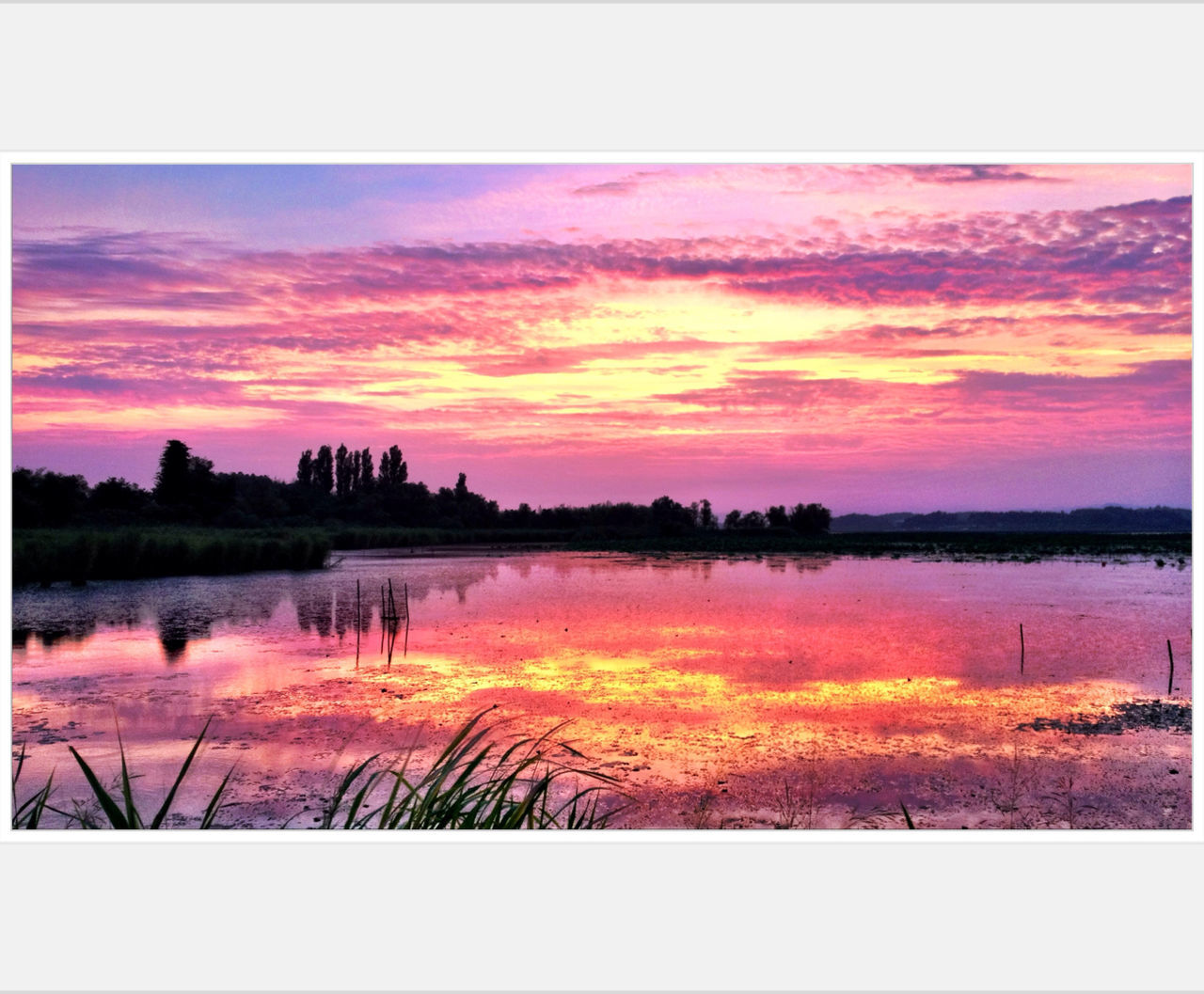 transfer print, sunset, auto post production filter, water, tranquil scene, orange color, sky, scenics, tranquility, lake, reflection, beauty in nature, nature, silhouette, idyllic, tree, cloud - sky, outdoors, landscape, field