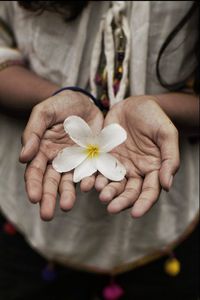 Close-up of hand holding flower