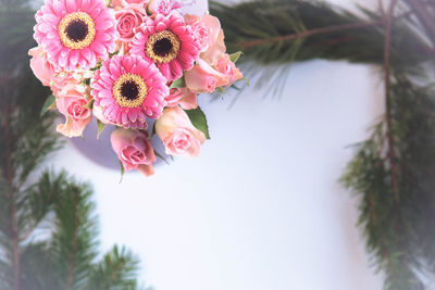 Close-up of pink flowering plant against sky