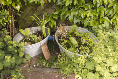 Potted plants growing in farm